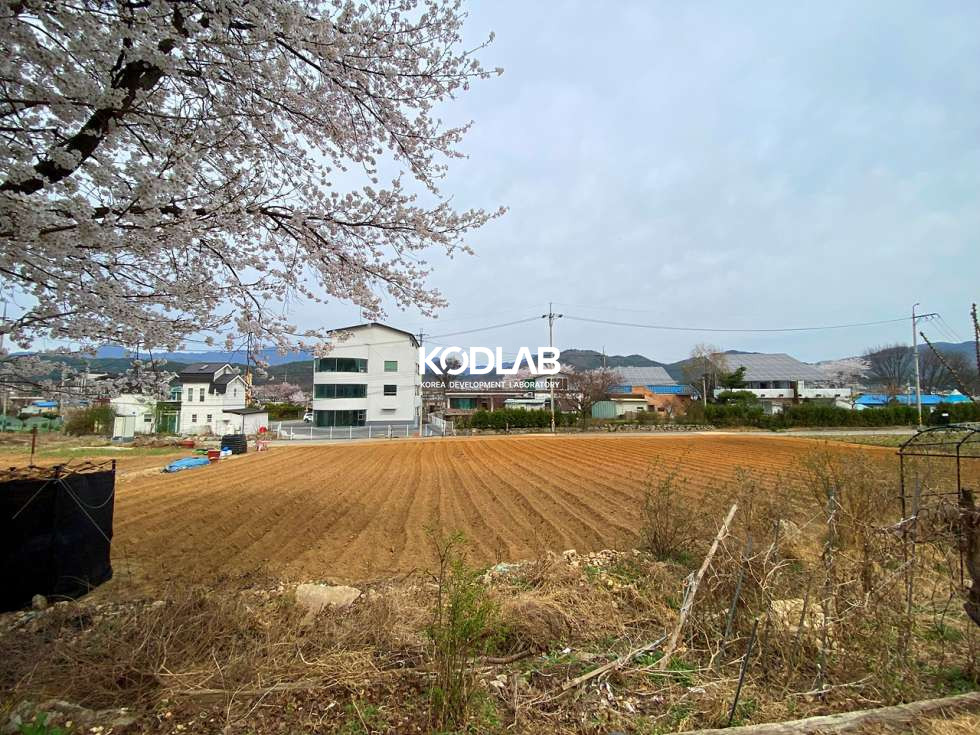 경기 양평군 용문면 금곡리 벚꽃 집에서 봐요! 용문면 생활권 가까운 2억 주말 주택 추천! 매매 매물번호 11303 사진 20