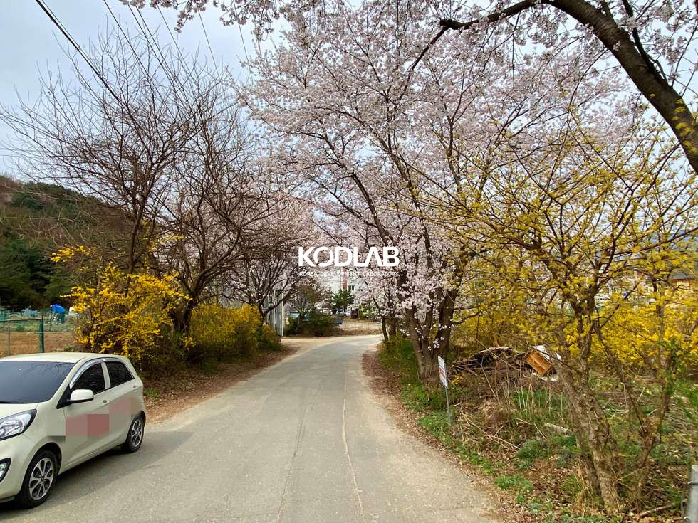 경기 양평군 용문면 금곡리 벚꽃 집에서 봐요! 용문면 생활권 가까운 2억 주말 주택 추천! 매매 매물번호 11303 사진 24