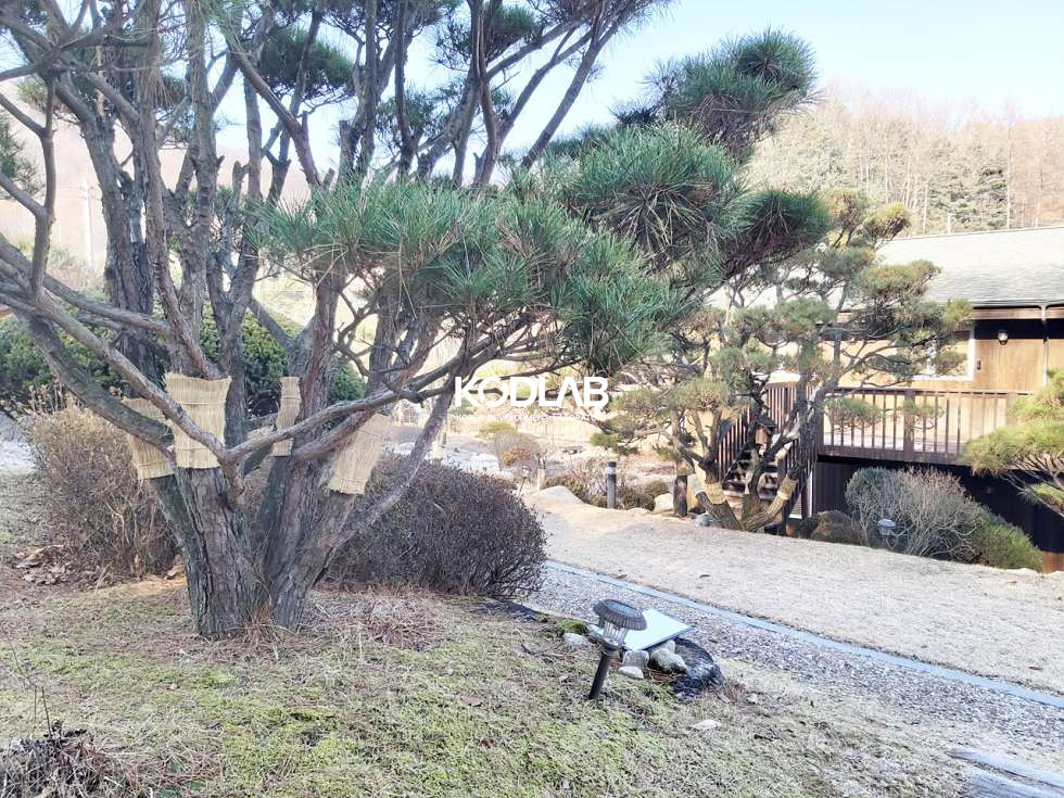 경기 양평군 옥천면 신복리 야외 정자와 조경수 그리고 조경석이 자리잡은 편의시설 10분거리 고급스러운 전원주택 매매 매물번호 10188 사진 17
