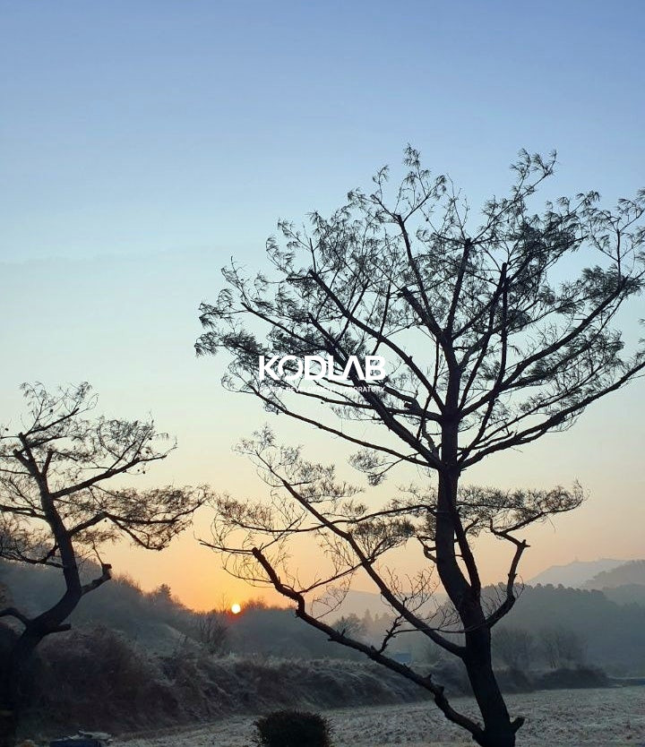 경기 가평군 설악면 묵안리 2차선 진입로 확보된 명품 소나무 조경된 계획관리지역 토지 매매! 매매 매물번호 12058 사진 8