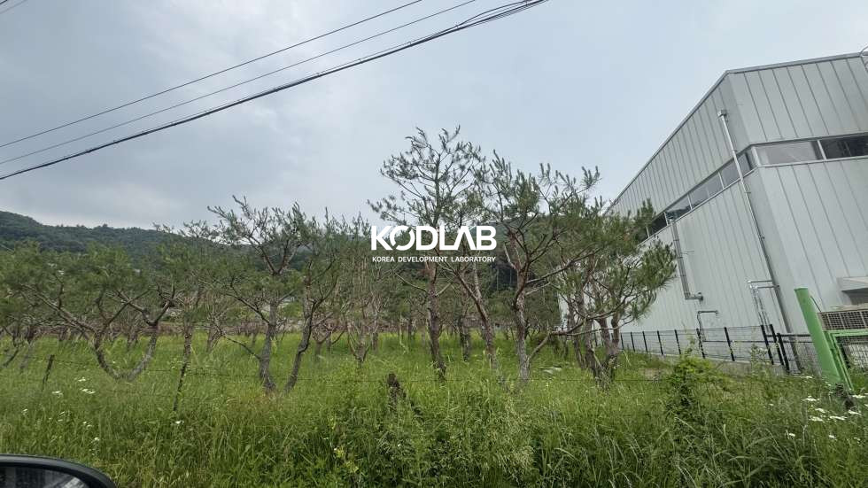 경기 양평군 옥천면 신복리 [ 양평 옥천면 신복리] 2차선 도로 접한 자연 속 대형 토지, 전원주택 & 조경 자산으로 최적지! 매매 매물번호 12059 사진 2