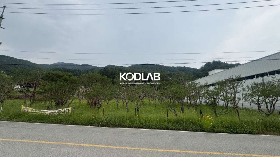 경기 양평군 옥천면 신복리 [ 양평 옥천면 신복리] 2차선 도로 접한 자연 속 대형 토지, 전원주택 & 조경 자산으로 최적지! 매매 매물번호 12059 사진 3