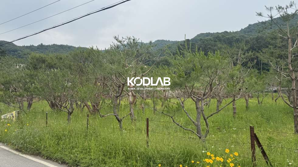 경기 양평군 옥천면 신복리 [ 양평 옥천면 신복리] 2차선 도로 접한 자연 속 대형 토지, 전원주택 & 조경 자산으로 최적지! 매매 매물번호 12059 사진 4