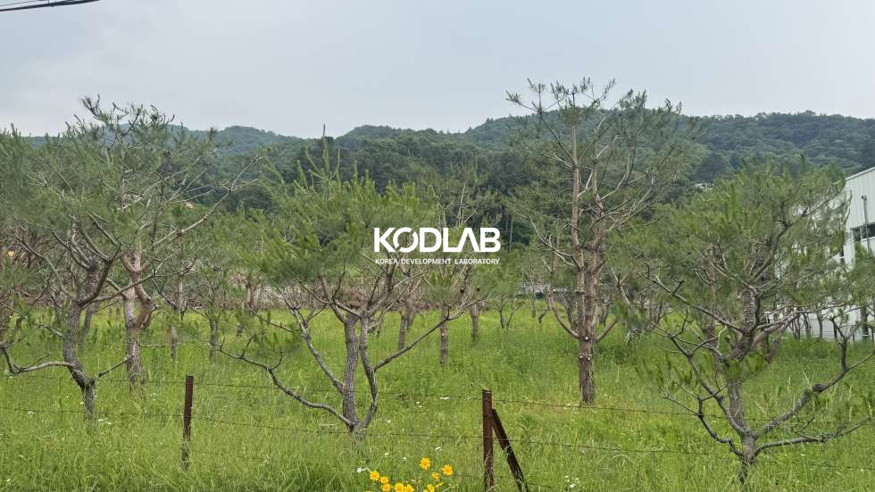 경기 양평군 옥천면 신복리 [ 양평 옥천면 신복리] 2차선 도로 접한 자연 속 대형 토지, 전원주택 & 조경 자산으로 최적지! 매매 매물번호 12059 사진 6