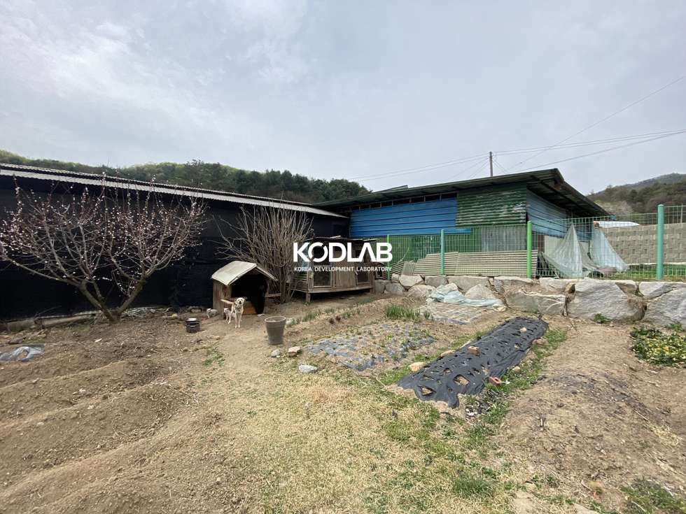 경기 양평군 지평면 일신리 지평면 생활권 가까운 단층 주택 매매 매물번호 11300 사진 7