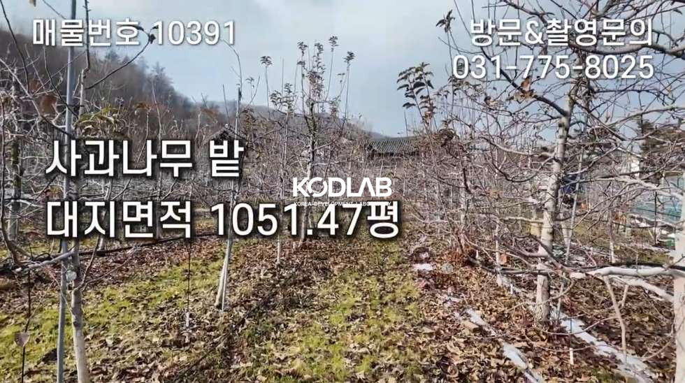 경기 양평군 강상면 화양리 은퇴 후 월 수입 만드는 전통 한욱구조_ 사과농장, 에어비앤비 매매 매물번호 10391 사진 14