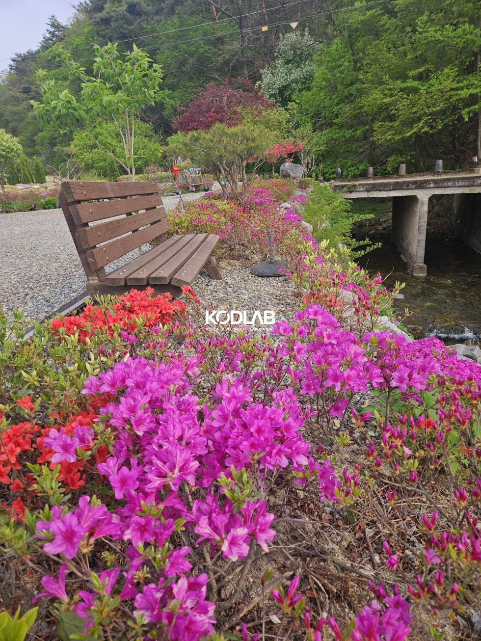 강원 횡성군 우천면 산전리 하천 앞 너무 이쁜 2억대 주택 매매 매물번호 12154 사진 11