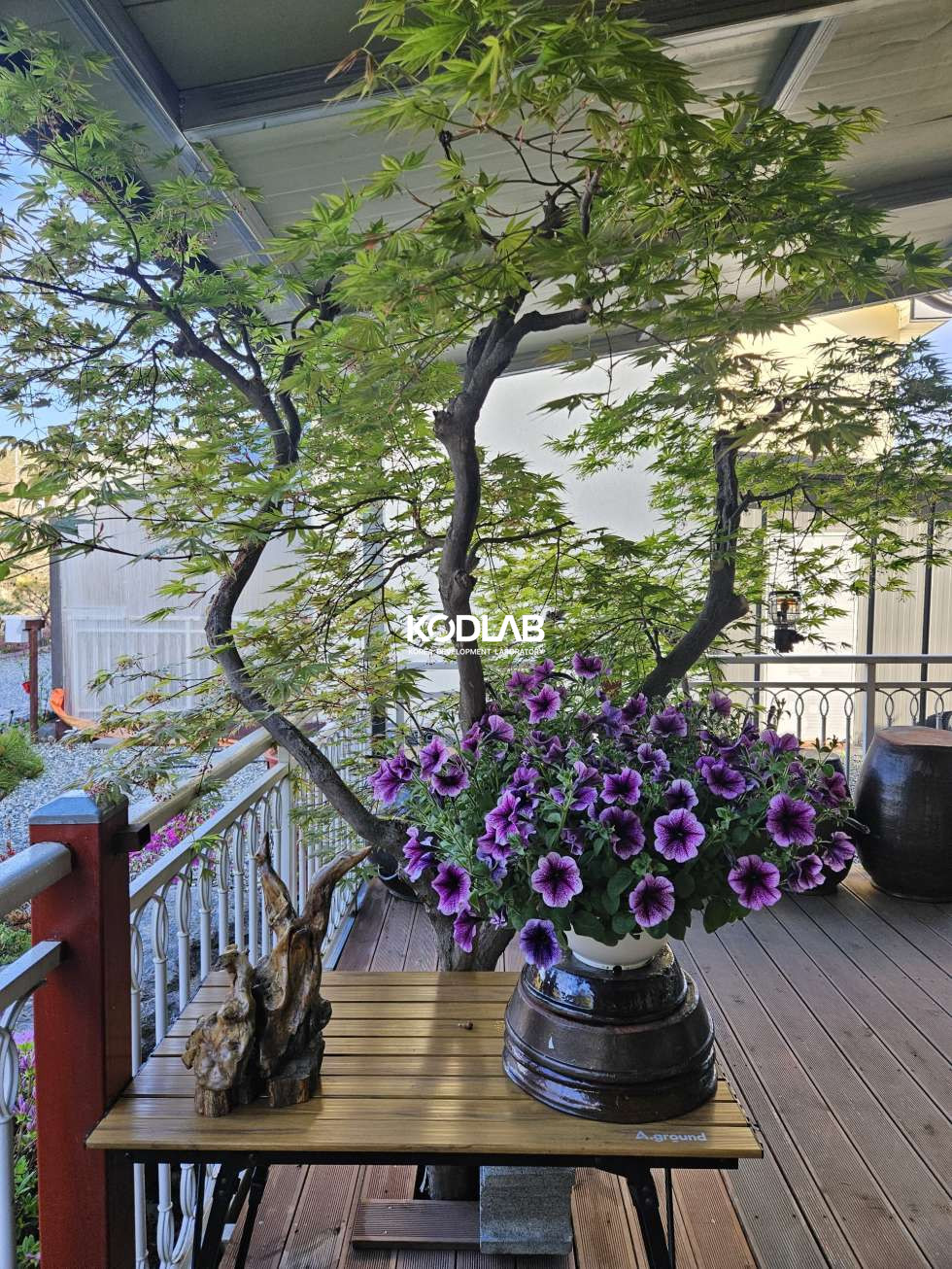강원 횡성군 우천면 산전리 하천 앞 너무 이쁜 2억대 주택 매매 매물번호 12154 사진 12