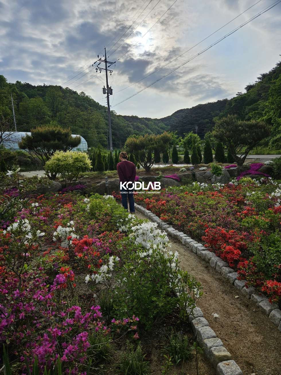 강원 횡성군 우천면 산전리 하천 앞 너무 이쁜 2억대 주택 매매 매물번호 12154 사진 17