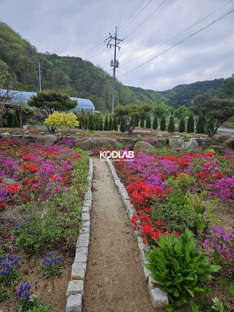 강원 횡성군 우천면 산전리 하천 앞 너무 이쁜 2억대 주택 매매 매물번호 12154 사진 19