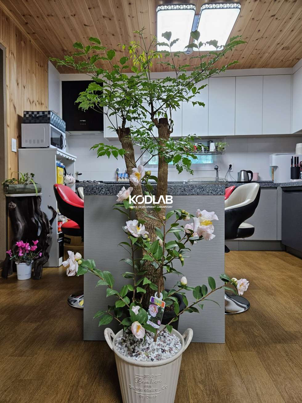 강원 횡성군 우천면 산전리 하천 앞 너무 이쁜 2억대 주택 매매 매물번호 12154 사진 23