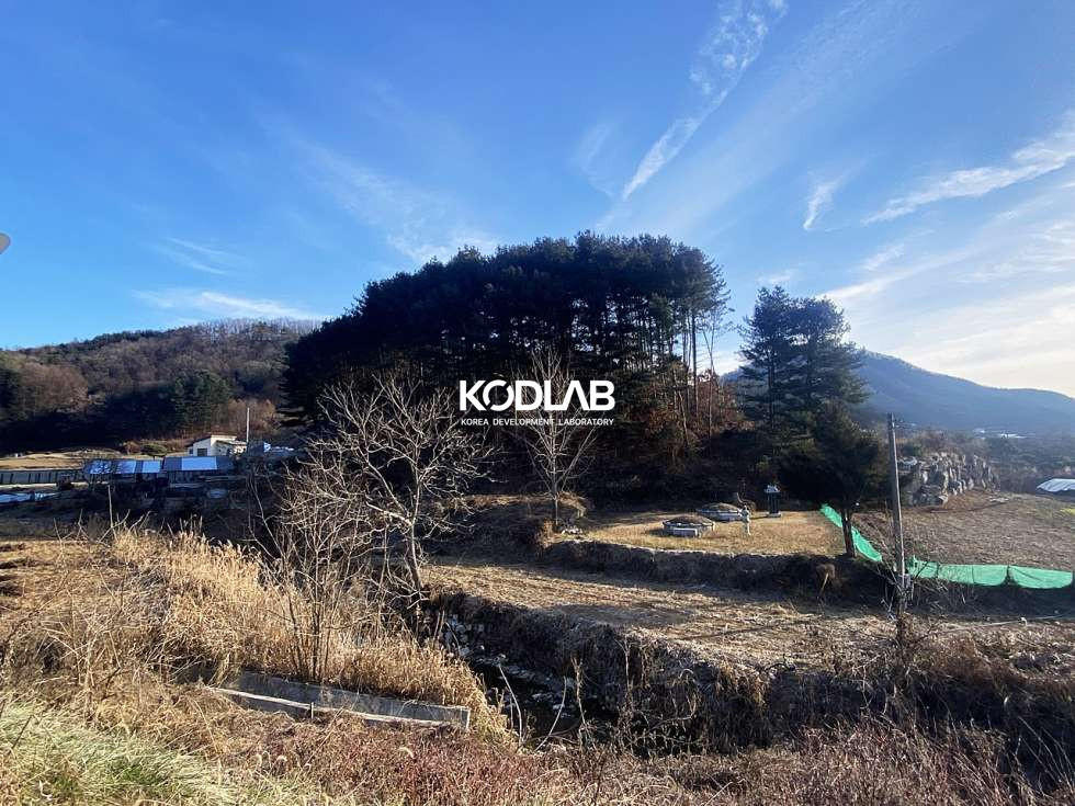 경기 양평군 용문면 망능리 용문면 남서향의 임야상태 토지 매매 매물번호 10778 사진 5