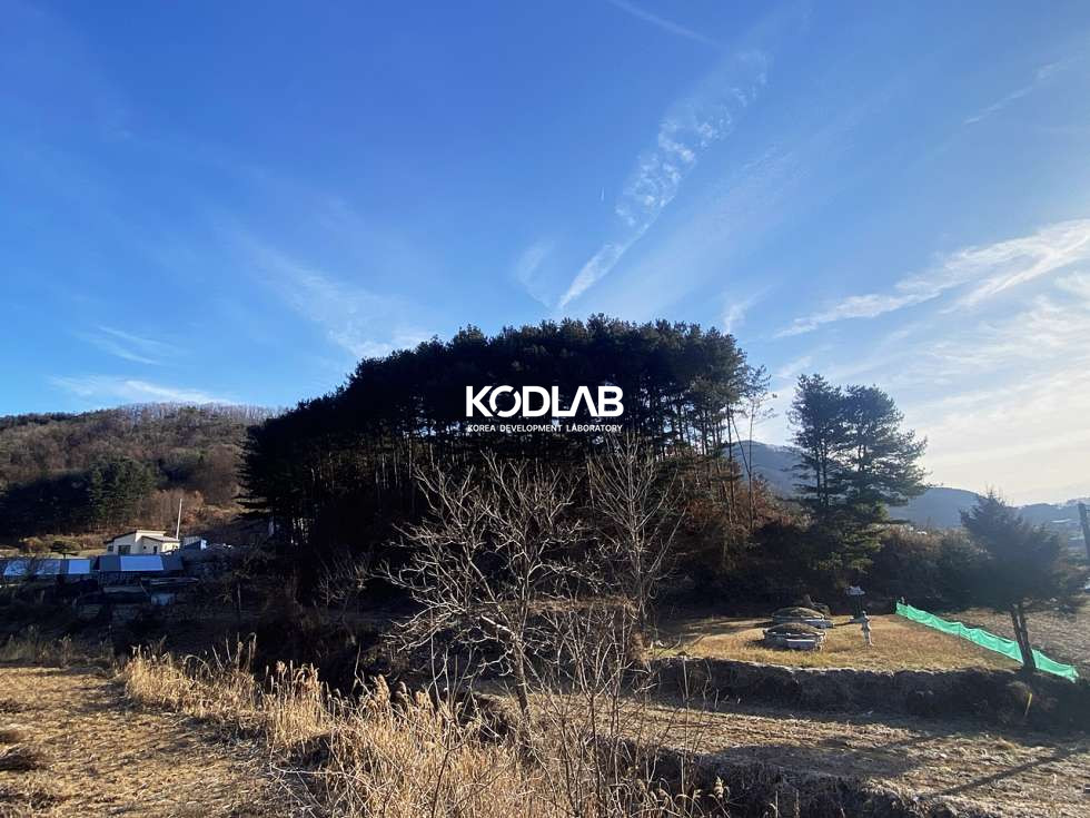 경기 양평군 용문면 망능리 용문면 남서향의 임야상태 토지 매매 매물번호 10778 사진 6