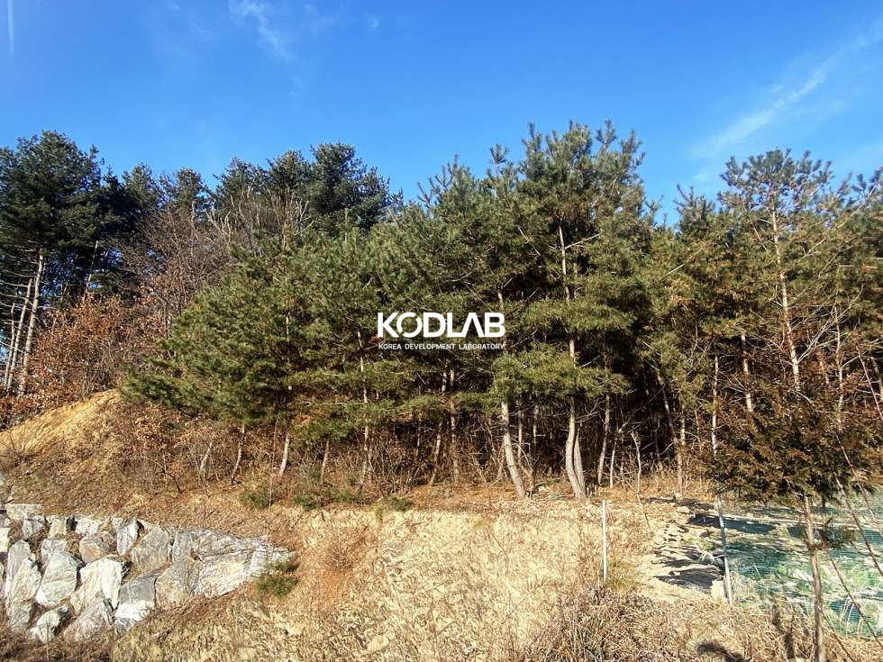 경기 양평군 용문면 망능리 용문면 남서향의 임야상태 토지 매매 매물번호 10778 사진 13