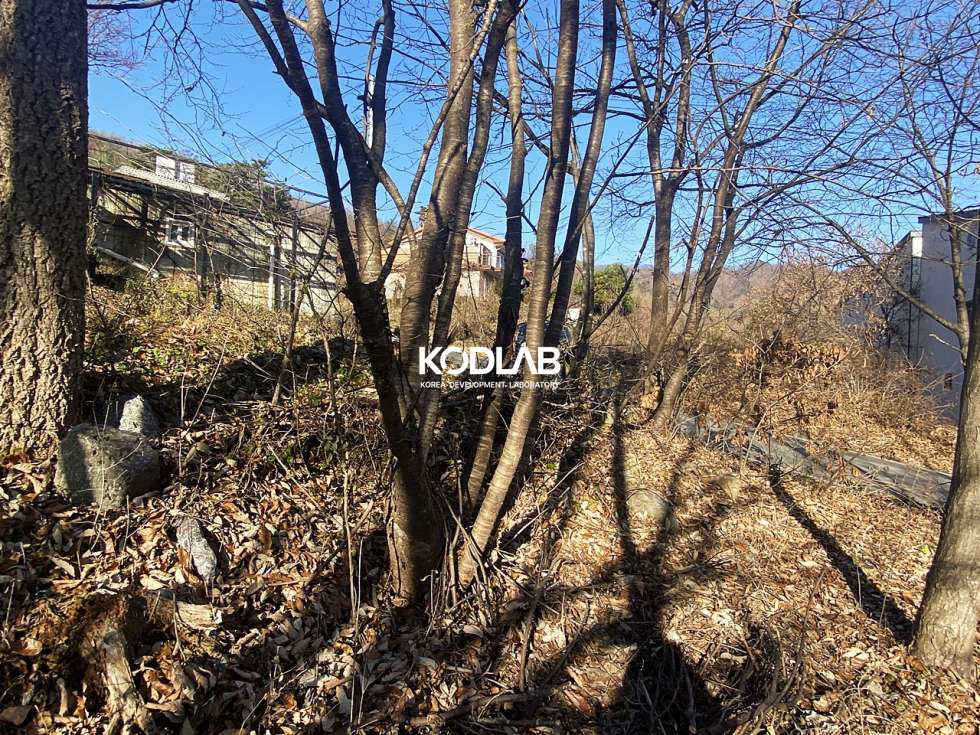 경기 양평군 옥천면 신복리 37번 국도에서 가까운 토지, 전원주택지로 찰떡 매매 매물번호 10787 사진 14