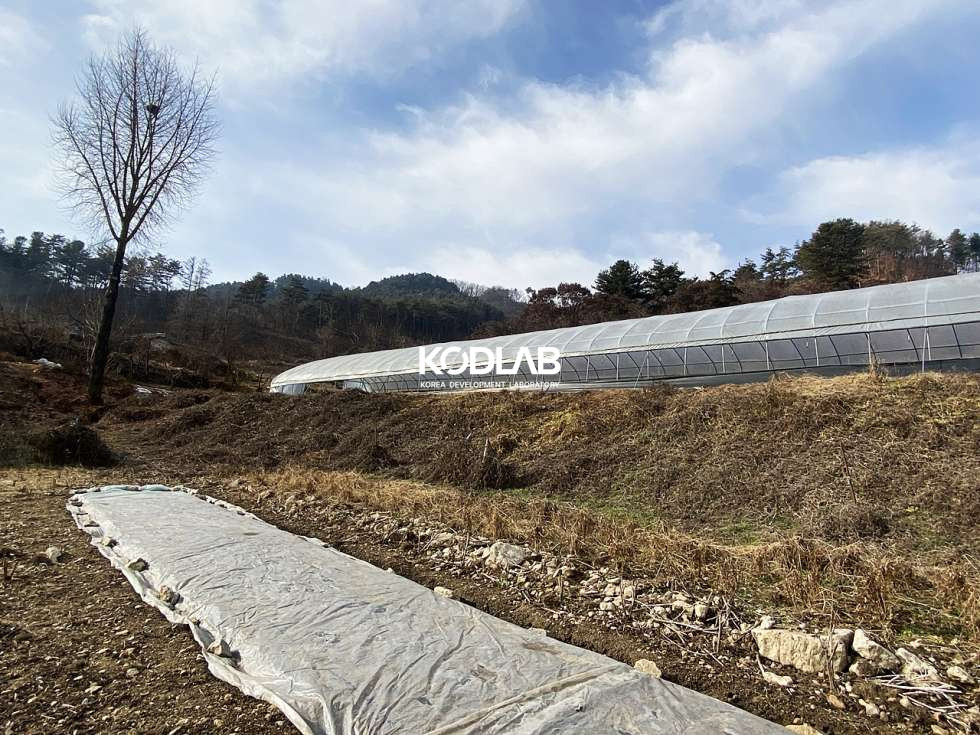 경기 양평군 양동면 단석리 양동면 평당 42만원의 토지, 분할매매 가능 매매 매물번호 10783 사진 8
