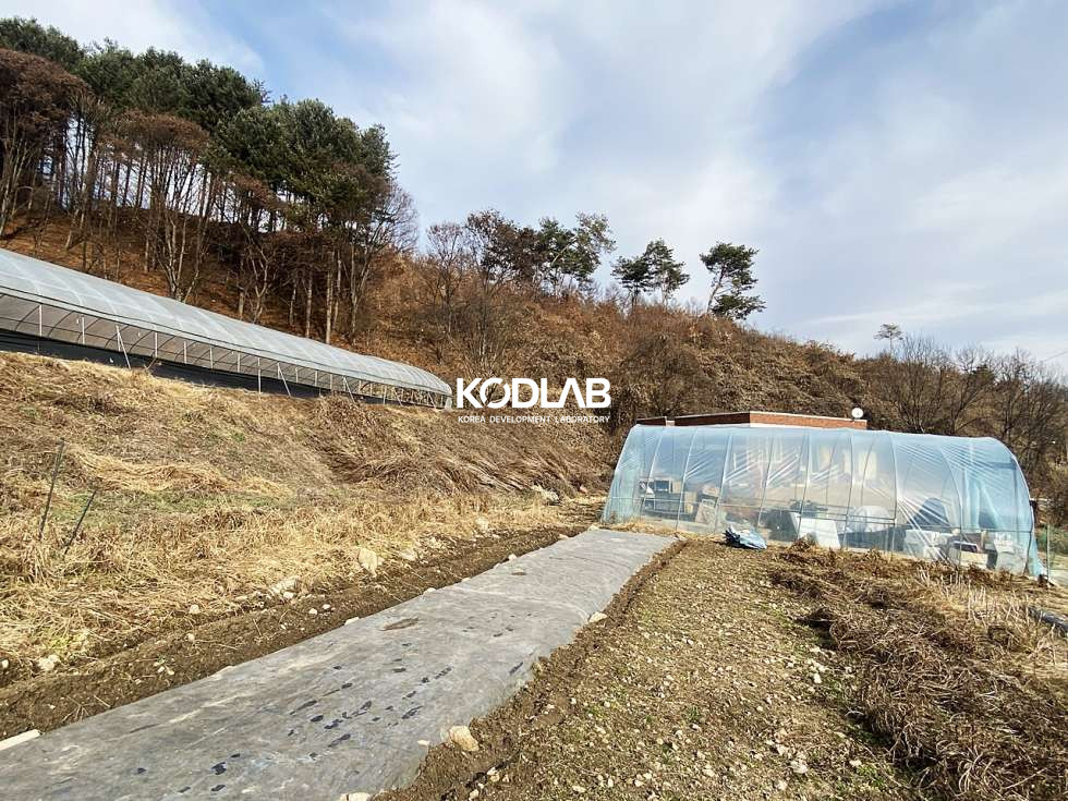 경기 양평군 양동면 단석리 양동면 평당 42만원의 토지, 분할매매 가능 매매 매물번호 10783 사진 12