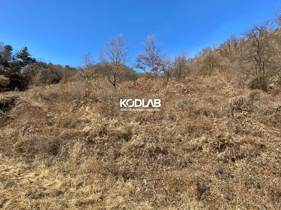 경기 양평군 양서면 목왕리 타운하우스 형성된 지역 근처, 투자목적용 토지 매매 매물번호 10790 사진 6
