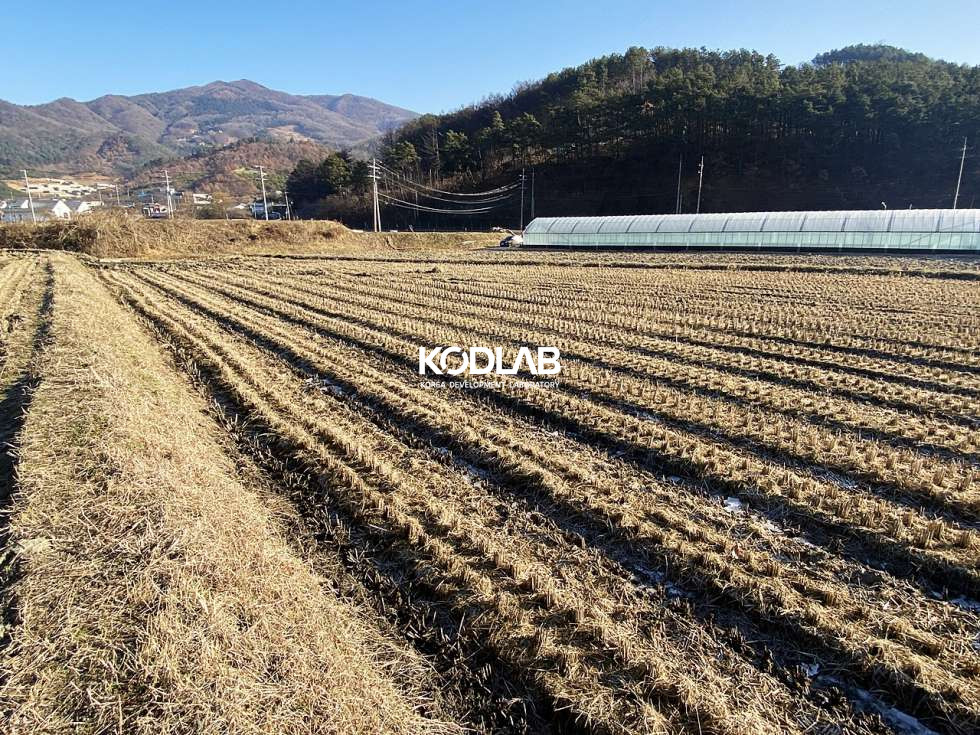 경기 양평군 옥천면 신복리 옥천면 신복리 평당 38만원, 맹지, 투자목적용 토지 매매 매물번호 10807 사진 8