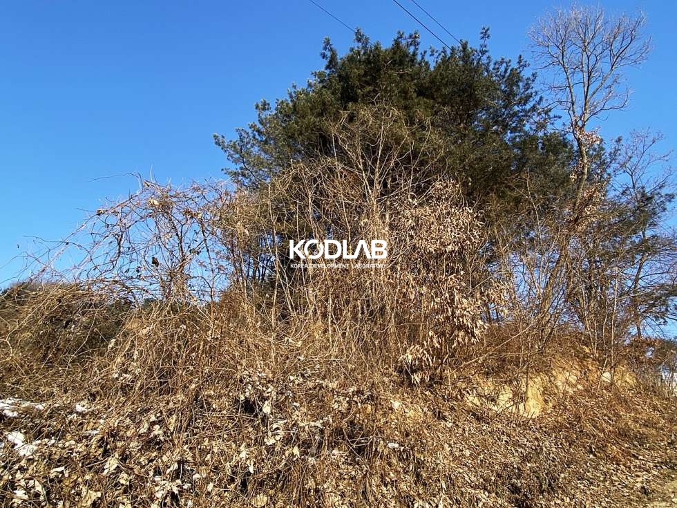 경기 양평군 개군면 하자포리 4000평 개군면 토지, 토목공사 X,허가O, 도로 바로 붙어 있는 위치 좋은 토지 매매 매물번호 10830 사진 5