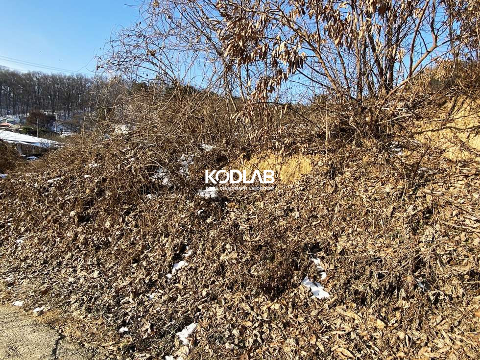 경기 양평군 개군면 하자포리 4000평 개군면 토지, 토목공사 X,허가O, 도로 바로 붙어 있는 위치 좋은 토지 매매 매물번호 10830 사진 6