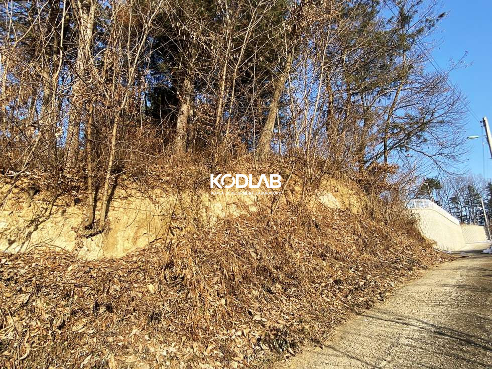 경기 양평군 개군면 하자포리 4000평 개군면 토지, 토목공사 X,허가O, 도로 바로 붙어 있는 위치 좋은 토지 매매 매물번호 10830 사진 9