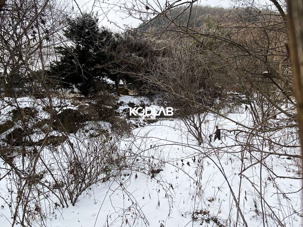 경기 광주시 남종면 귀여리 현황도로가 있는 토지, 토목O, 비닐하우스와 상수도, 지하수 모두 있는 토지 매매 매물번호 10831 사진 8