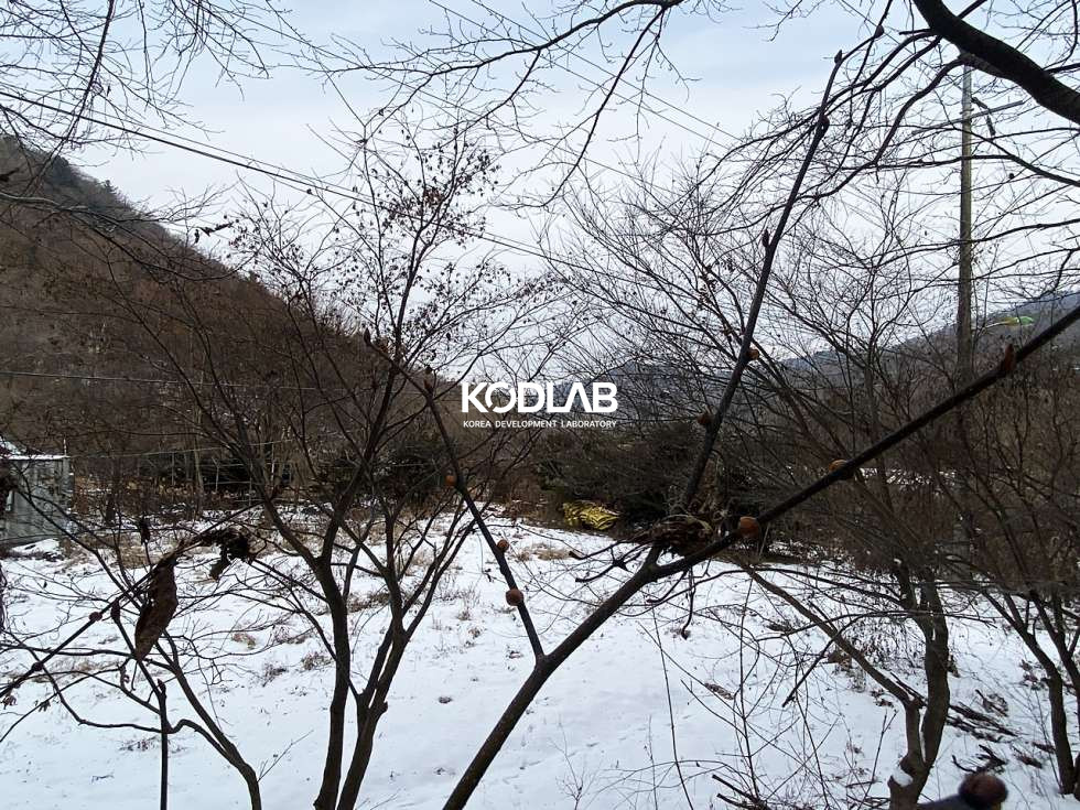 경기 광주시 남종면 귀여리 현황도로가 있는 토지, 토목O, 비닐하우스와 상수도, 지하수 모두 있는 토지 매매 매물번호 10831 사진 17