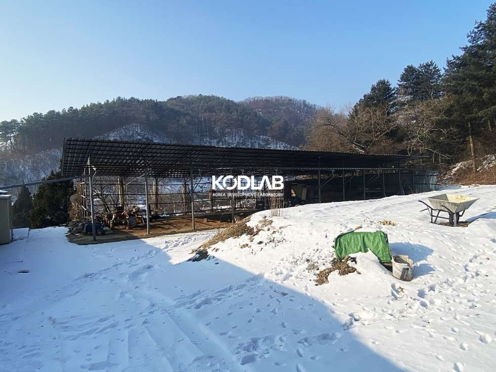 경기 양평군 용문면 신점리 용문면 900평대 넓은 토지, 필지 내 주택과 계사시설 있음 매매 매물번호 10836 사진 8
