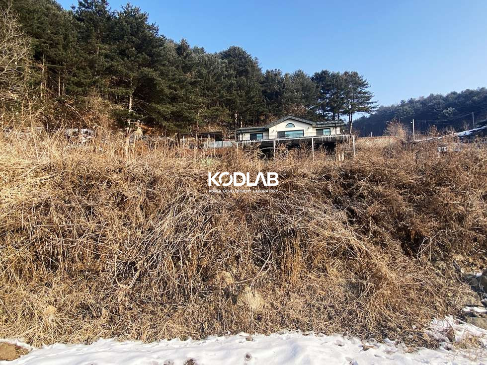 경기 양평군 용문면 신점리 용문면 900평대 넓은 토지, 필지 내 주택과 계사시설 있음 매매 매물번호 10836 사진 11