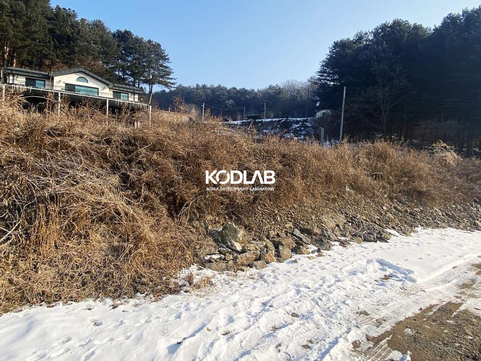 경기 양평군 용문면 신점리 용문면 900평대 넓은 토지, 필지 내 주택과 계사시설 있음 매매 매물번호 10836 사진 12