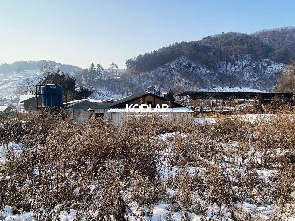 경기 양평군 용문면 신점리 용문면 900평대 넓은 토지, 필지 내 주택과 계사시설 있음 매매 매물번호 10836 사진 15