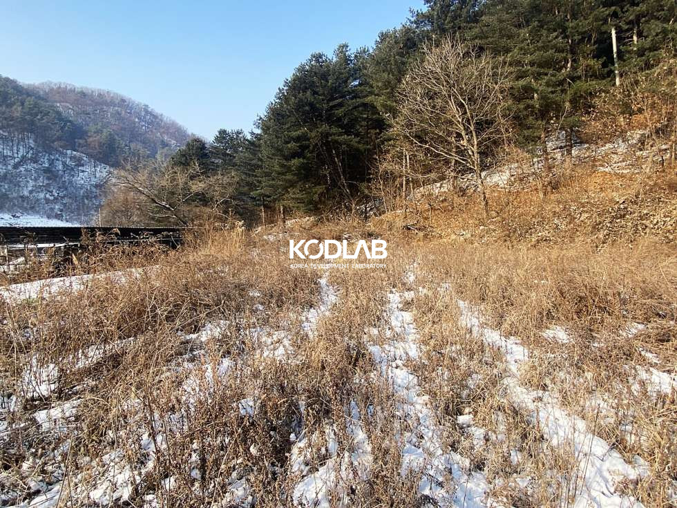 경기 양평군 용문면 신점리 용문면 900평대 넓은 토지, 필지 내 주택과 계사시설 있음 매매 매물번호 10836 사진 16
