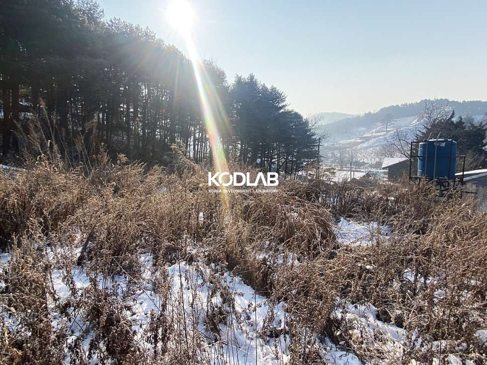 경기 양평군 용문면 신점리 용문면 900평대 넓은 토지, 필지 내 주택과 계사시설 있음 매매 매물번호 10836 사진 21