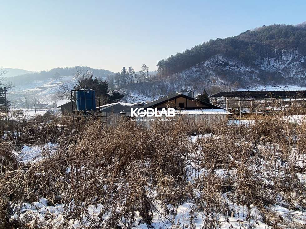 경기 양평군 용문면 신점리 용문면 900평대 넓은 토지, 필지 내 주택과 계사시설 있음 매매 매물번호 10836 사진 22