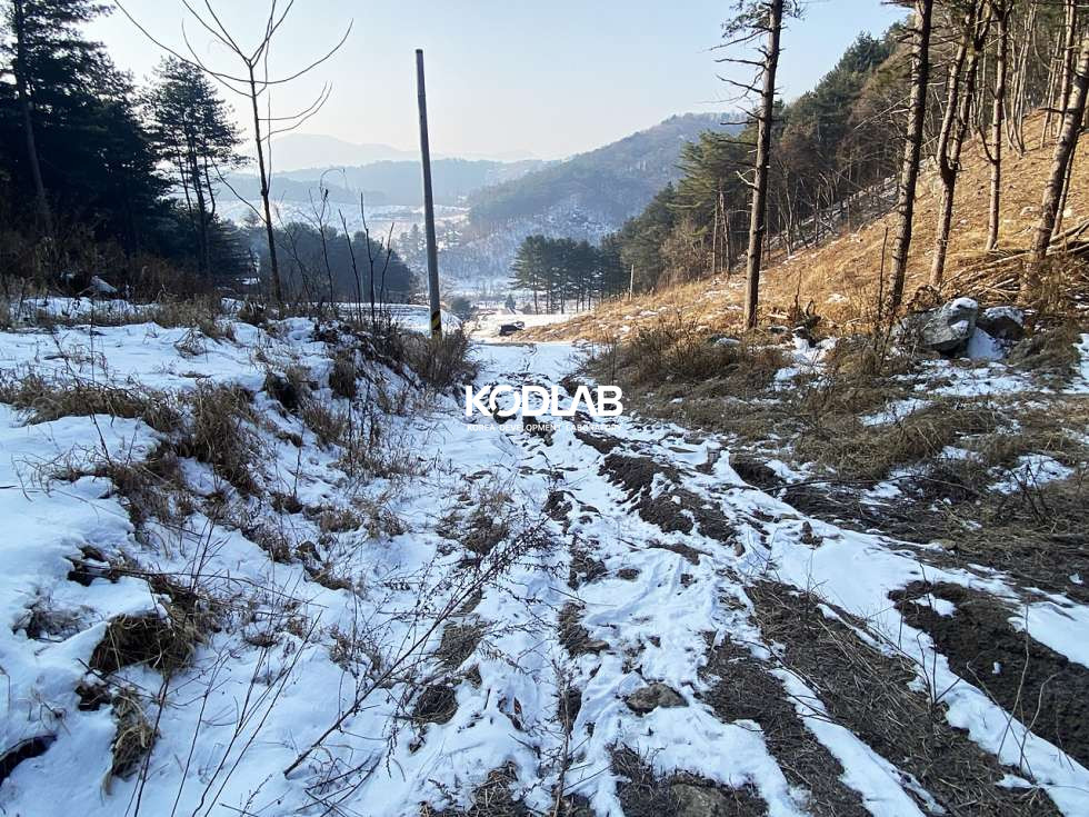경기 양평군 용문면 신점리 트인 산뷰, 영구조망권 확보된 토지! 전신주, 우수시설, 상수도관 모두 있음 매매 매물번호 10846 사진 5