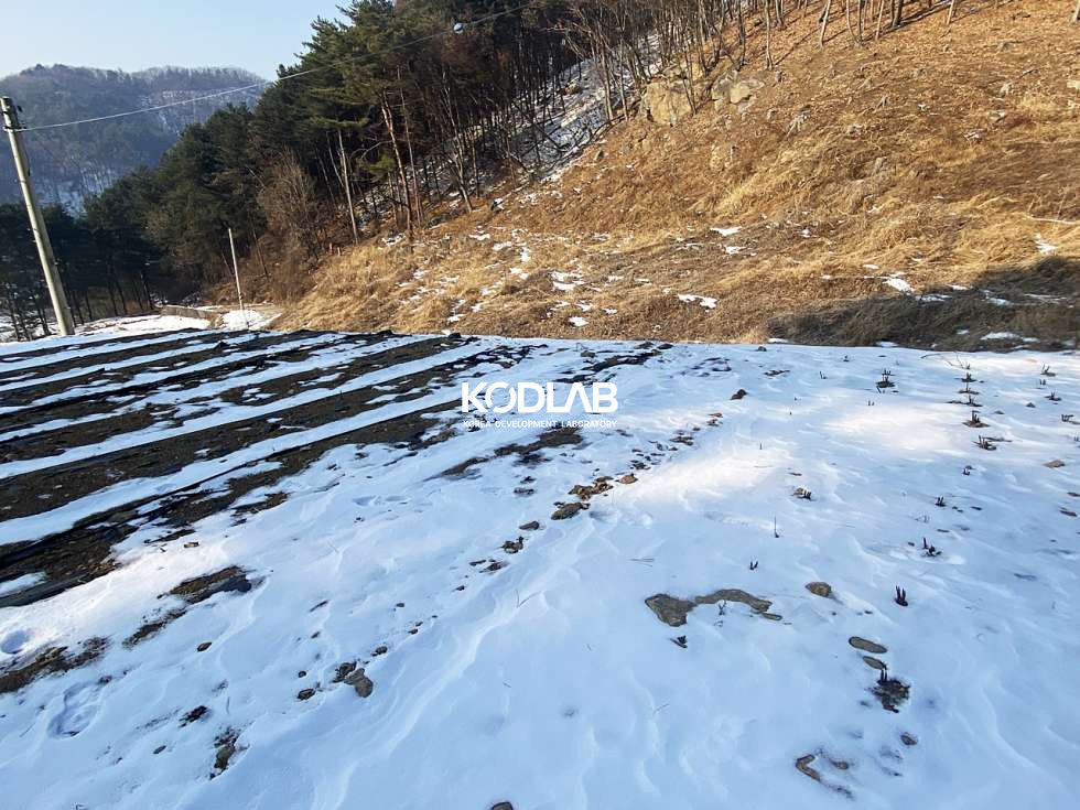 경기 양평군 용문면 신점리 트인 산뷰, 영구조망권 확보된 토지! 전신주, 우수시설, 상수도관 모두 있음 매매 매물번호 10846 사진 7