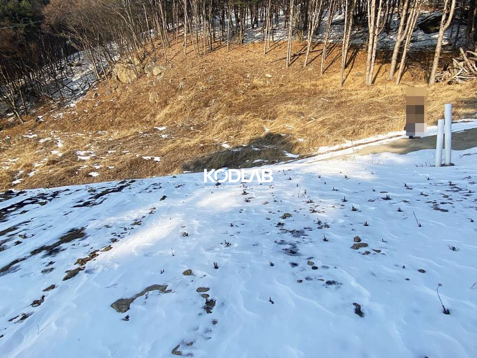 경기 양평군 용문면 신점리 트인 산뷰, 영구조망권 확보된 토지! 전신주, 우수시설, 상수도관 모두 있음 매매 매물번호 10846 사진 8