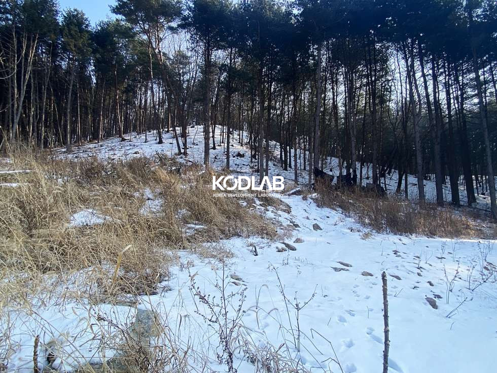 경기 양평군 용문면 신점리 트인 산뷰, 영구조망권 확보된 토지! 전신주, 우수시설, 상수도관 모두 있음 매매 매물번호 10846 사진 16