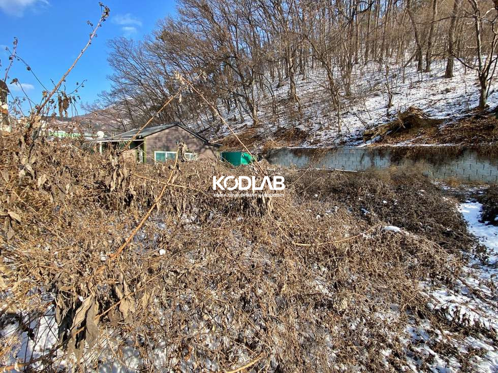 경기 양평군 양평읍 백안리 백안리 소형평수 토지, 주변 빌라와 단독주택 상가등이 혼재한 지역 매매 매물번호 10873 사진 6