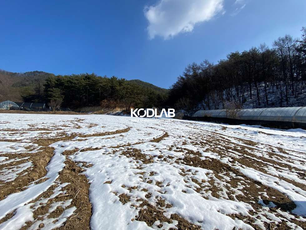 경기 양평군 청운면 갈운리 청운면 평당 35만원, 산으로 둘러쌓인 프라이빗한 토지, 밭으로 사용중 매매 매물번호 10877 사진 4