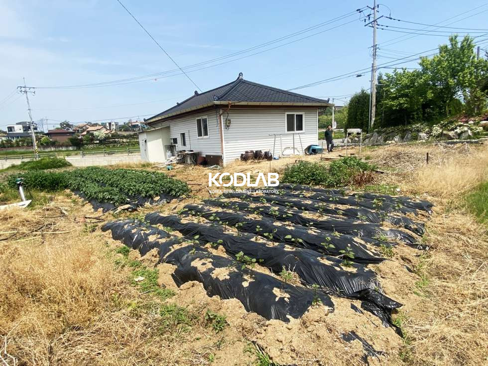 경기 양평군 양평읍 회현리 건물 끼고 토지만 매매, 평당 100만원 회현리 토지 매매 매물번호 10875 사진 19