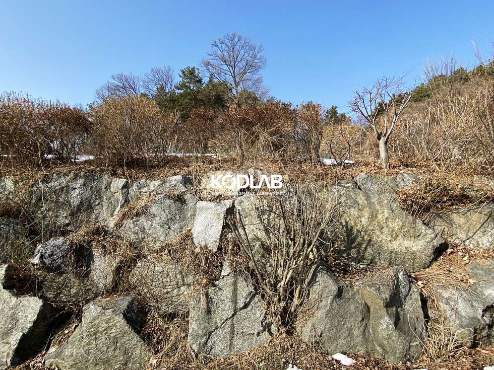 경기 양평군 양서면 복포리 24평 농막주택 있는(희망시 제거) 양서면 평당 200만원 토지 매매 매물번호 10883 사진 24