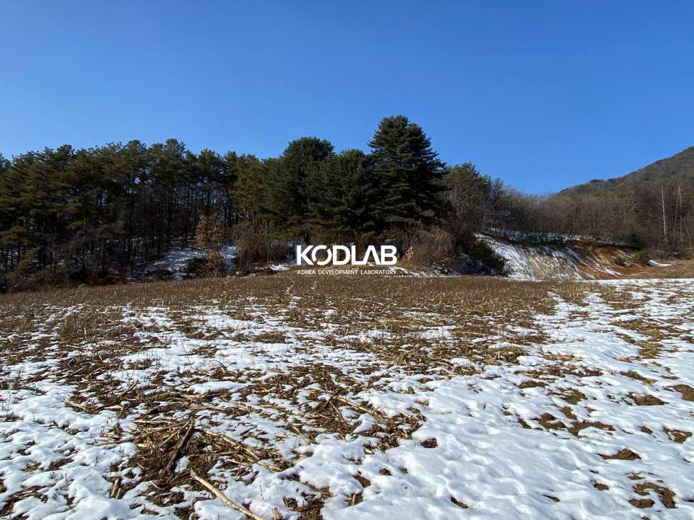 경기 양평군 청운면 갈운리 6번국도와 가까운 청운면 3600평, 조용한 양지바른땅 매매 매물번호 10886 사진 3