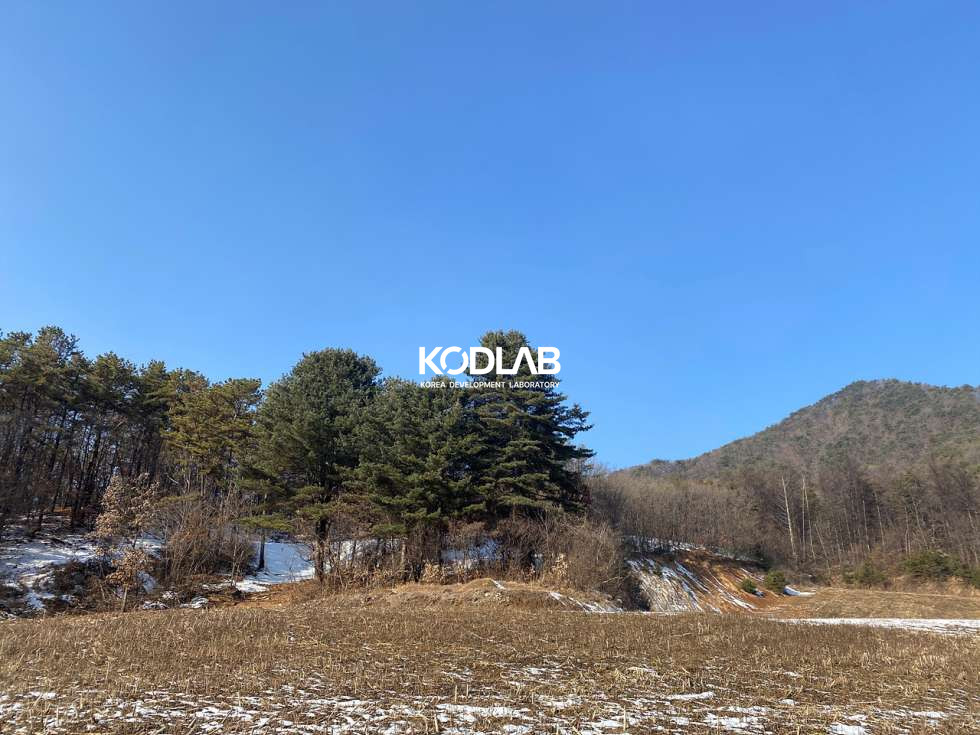 경기 양평군 청운면 갈운리 6번국도와 가까운 청운면 3600평, 조용한 양지바른땅 매매 매물번호 10886 사진 7