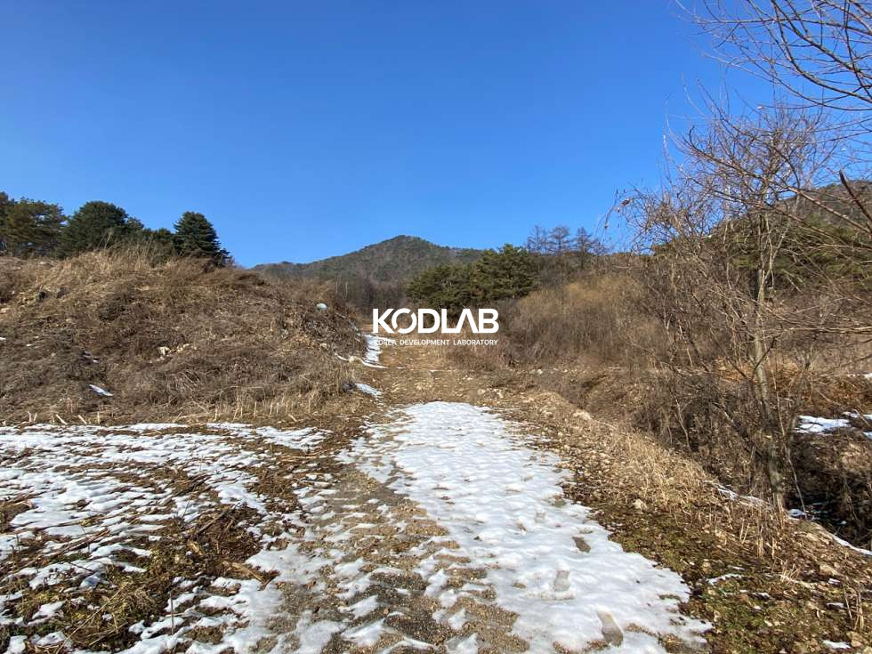 경기 양평군 청운면 갈운리 6번국도와 가까운 청운면 3600평, 조용한 양지바른땅 매매 매물번호 10886 사진 11