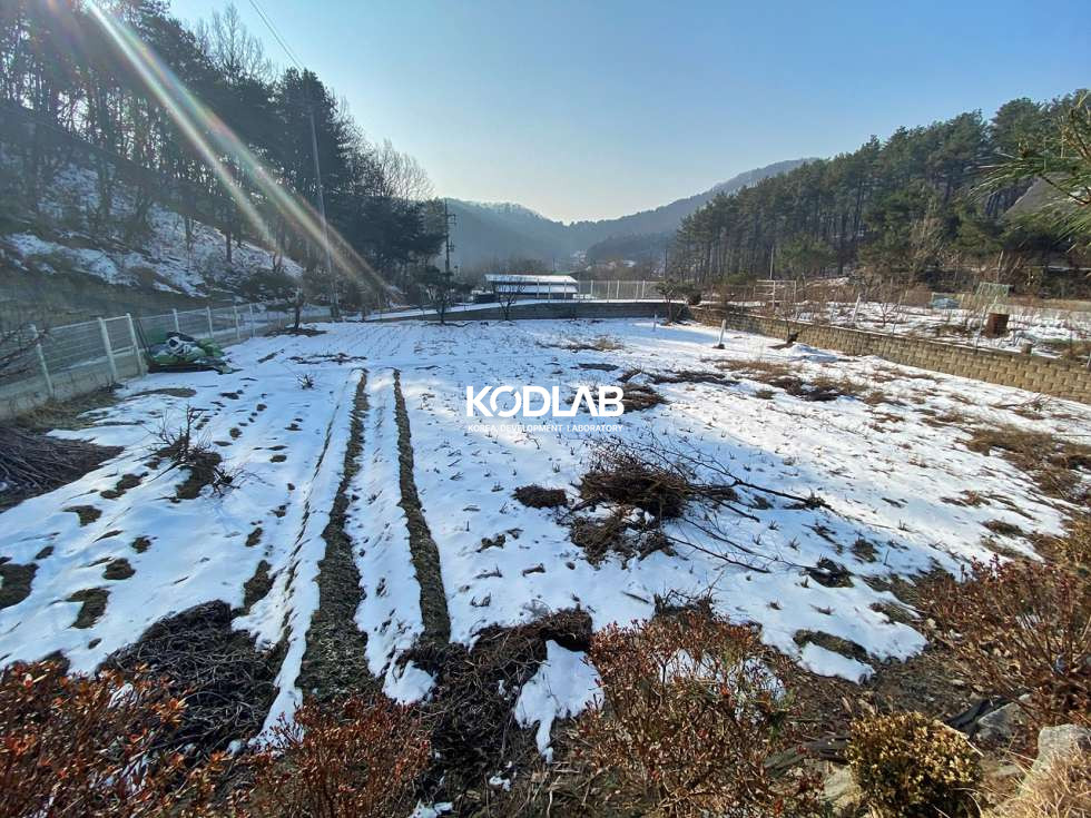 경기 양평군 옥천면 신복리 신복리 밭으로 이용중인 토지 200평 매매 매매 매물번호 10896 사진 13