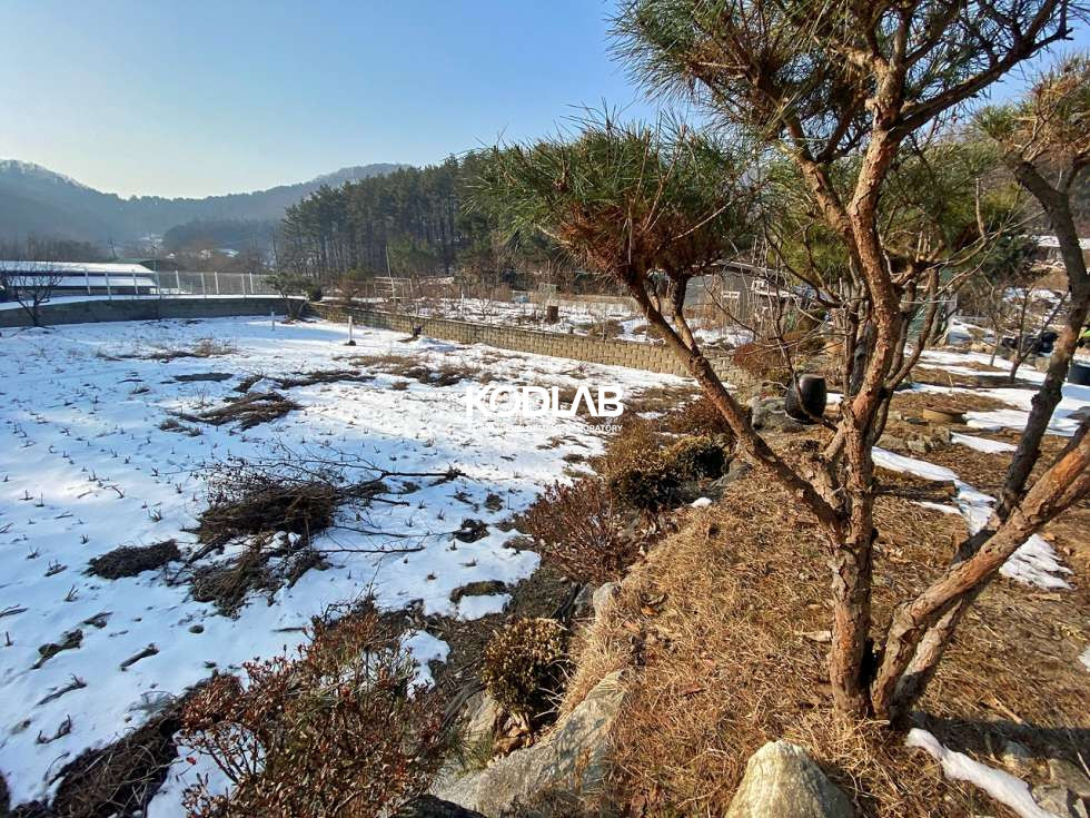 경기 양평군 옥천면 신복리 신복리 밭으로 이용중인 토지 200평 매매 매매 매물번호 10896 사진 14