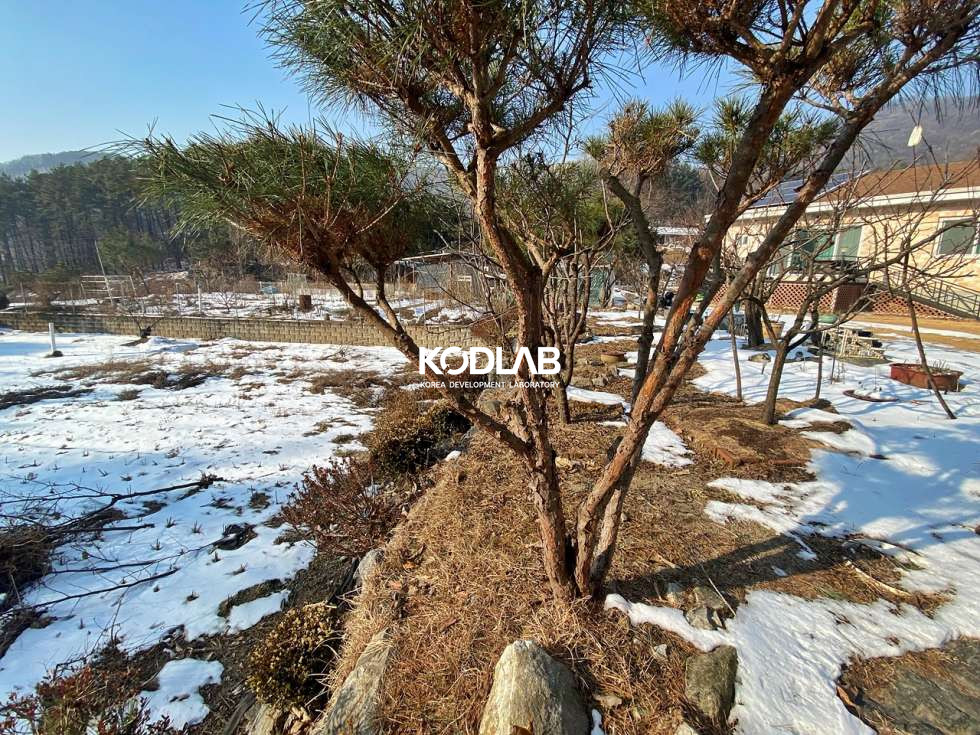 경기 양평군 옥천면 신복리 신복리 밭으로 이용중인 토지 200평 매매 매매 매물번호 10896 사진 15