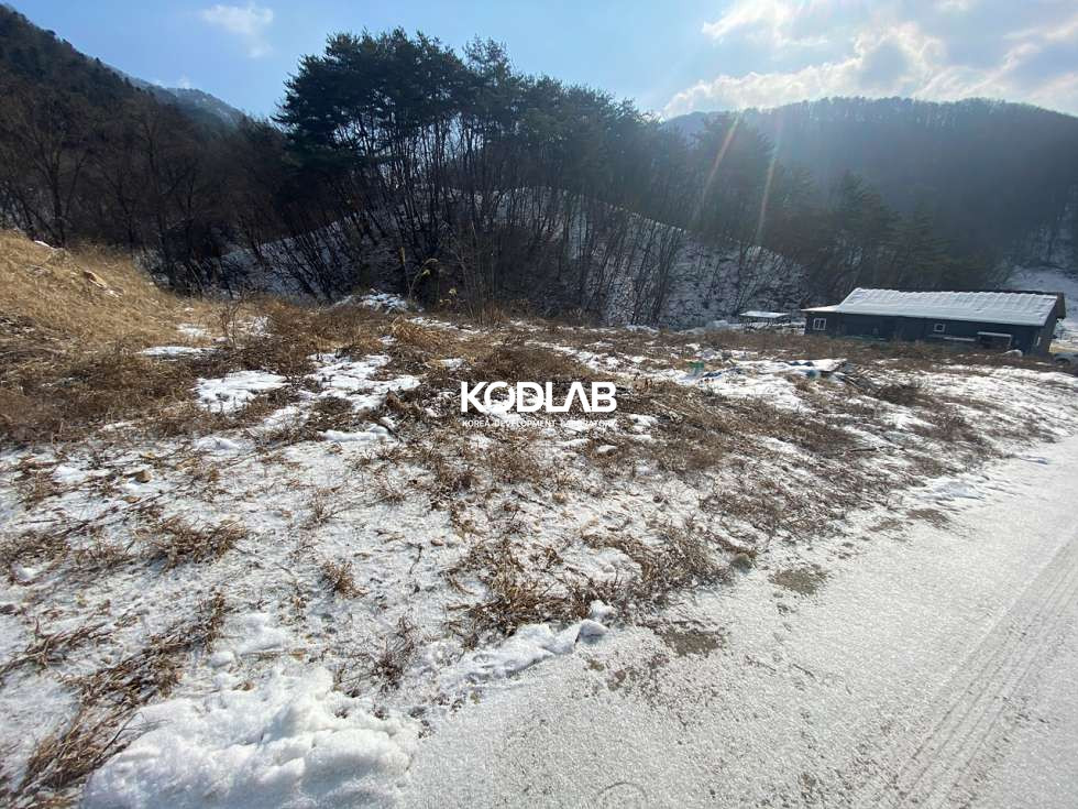 경기 양평군 청운면 신론리 평당 55만원, 정남향의 양지바른 골짜기 있는 조용한 전원마을토지 매매 매물번호 10943 사진 14